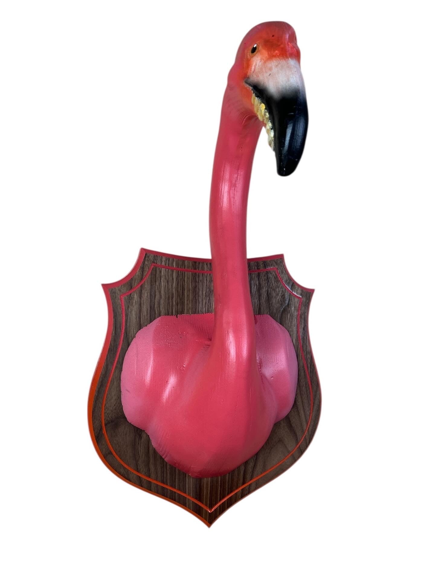 Chompers the Flamingo