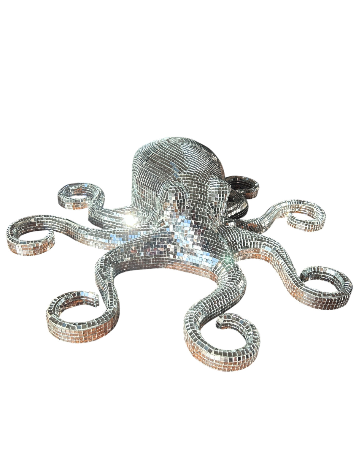Disk Octopus Discopus – Space Cadet